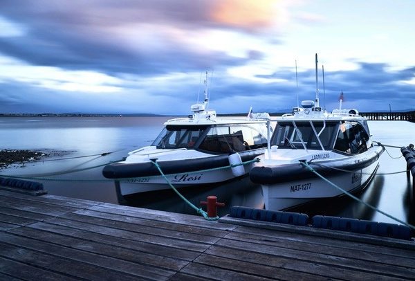 Dr. Cristián Salas es el nuevo presidente de Sochivas